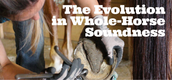 Evolution in Whole-Horse Soundness - 2023 CEHCA Conference Videos
