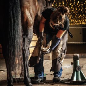 woman trimming horse